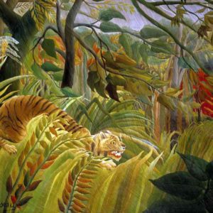 Program Henri Rousseau – Wednesday @ PS889
