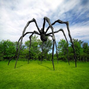 Program Louise Bourgeois – Thursday