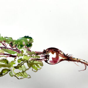 Painting - Watercolor - Traditional / Group – 3 April 29 – June 17 Wednesday 7.00 PM to 9.00 PM