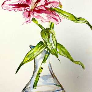 Painting - Watercolor - Traditional / Group – 2  March 4 – April 22  Wednesday 7.00 PM to 9.00 PM